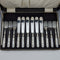 1930 British Vintage White Mother of Pearl Handle Dessert Cutlery Set 6x2 in Leather Case